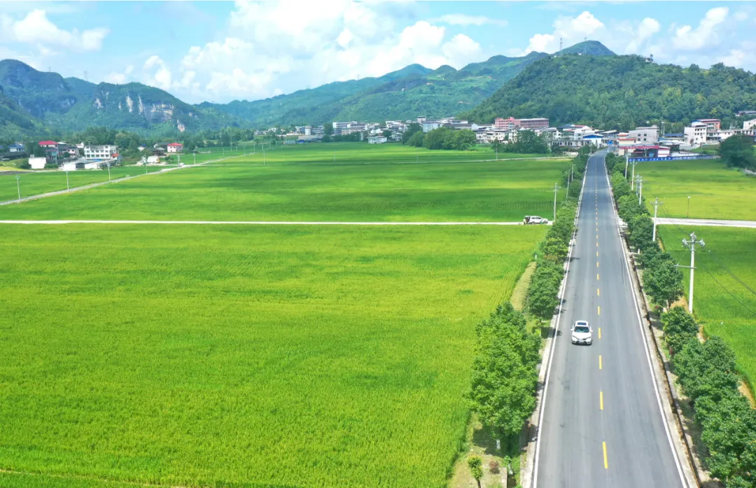 路通业兴！G352国道“化身”黔东乡村振兴“黄金纽带”