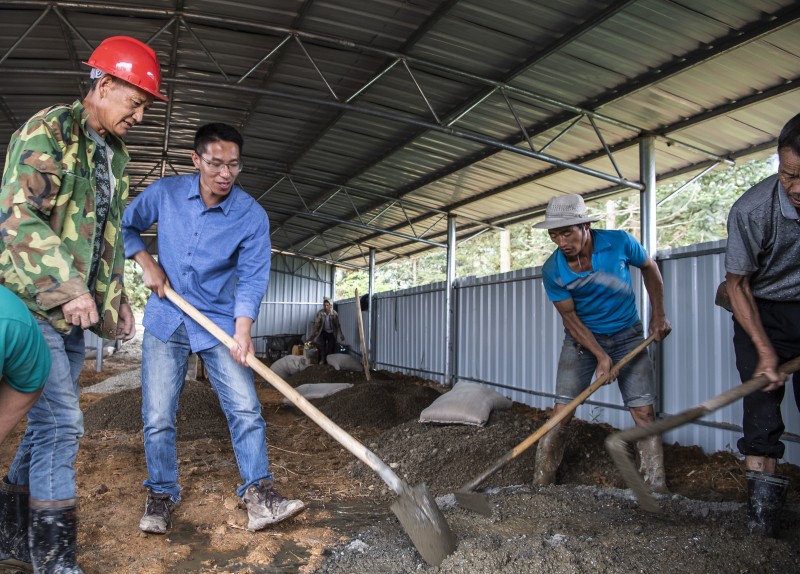 驻村第一书记胡昌勇在别鸠村养鸡场与工人一起劳作 张家裕 摄影.jpg