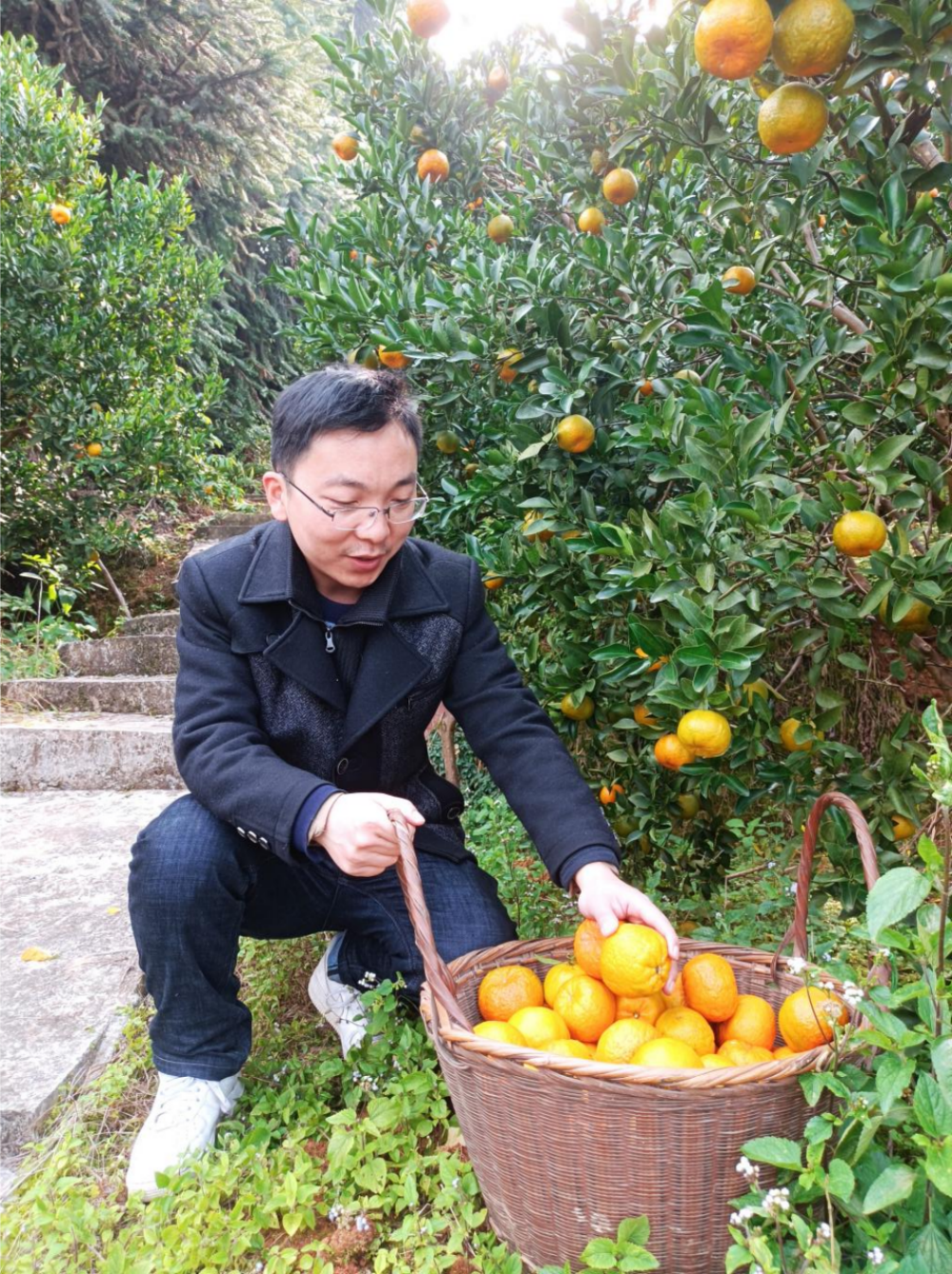 图片1.png